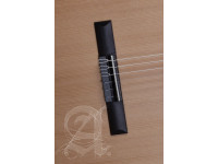 Alhambra Z-Nature CW EZ incl. Gig Bag Alhambra Z-Nature CW EZ incl. Gig Bag